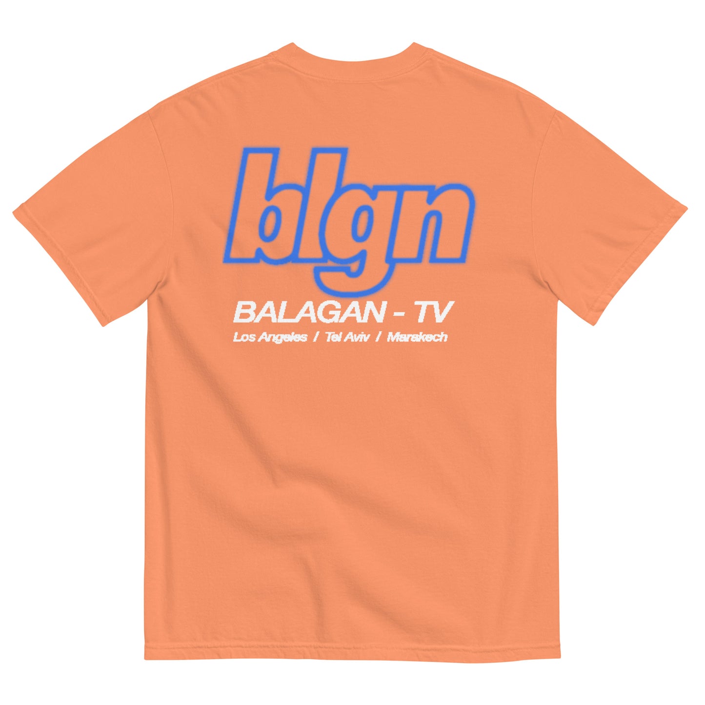 BLGN TV